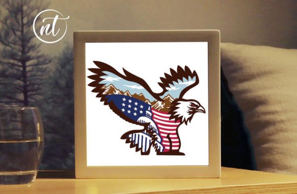 Eagle Flag Shadow Box: A Detailed Review