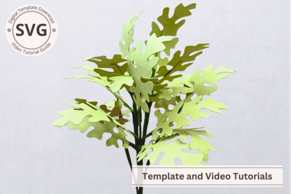 Evaluating Paper Leaves Dusty Miller Leaf Template