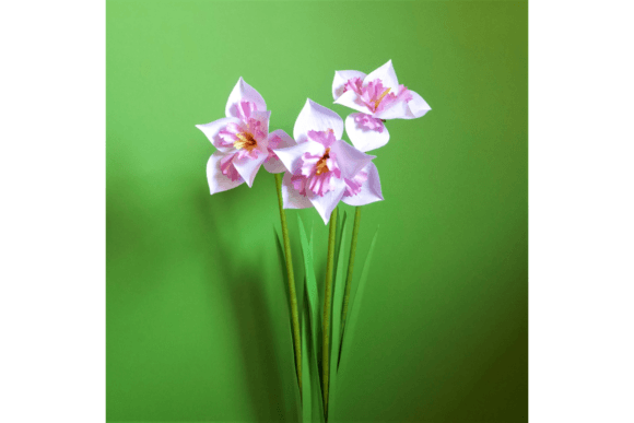 Narcissus Trigometry: A Delightful 3D SVG for Paper Flowers